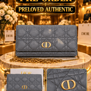 CHRISTIAN DIOR CARO POUCH WITH CHAIN – GRAY CANNAGE CALFSKIN
